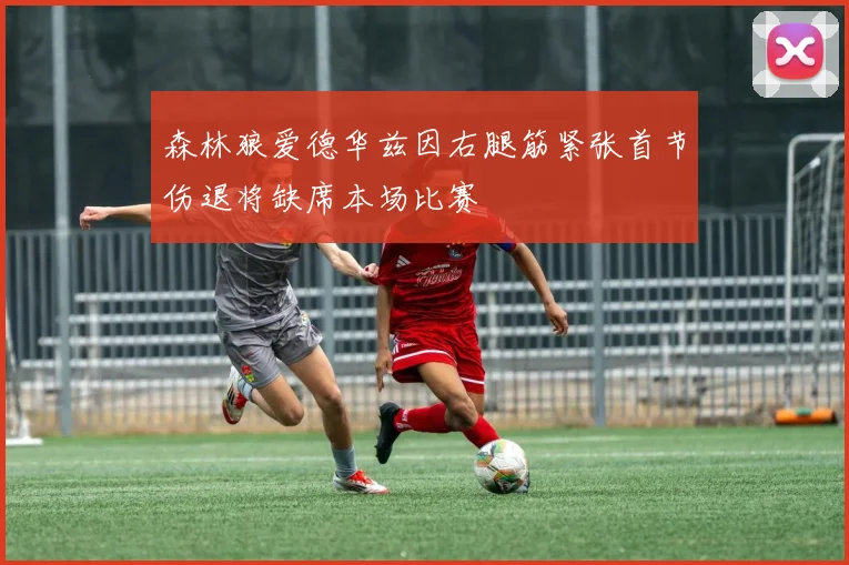森林狼爱德华兹因右腿筋紧张首节伤退将缺席本场比赛