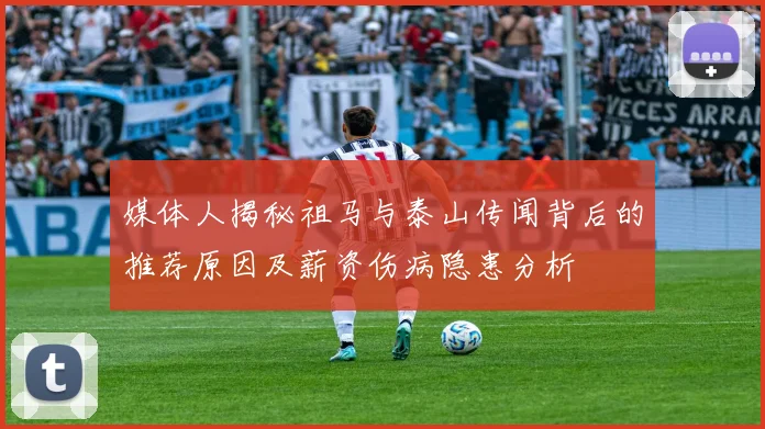 媒体人揭秘祖马与泰山传闻背后的推荐原因及薪资伤病隐患分析