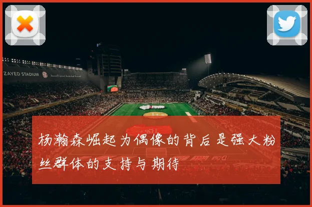 杨瀚森崛起为偶像的背后是强大粉丝群体的支持与期待
