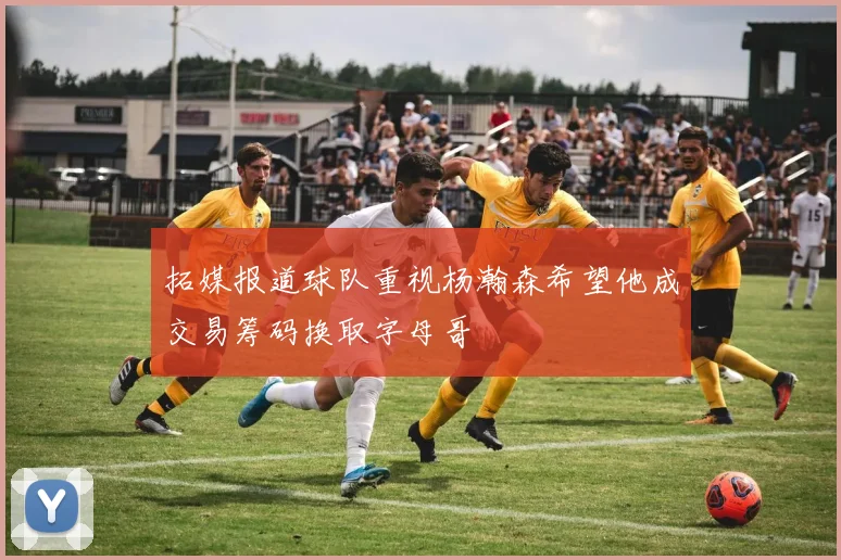 拓媒报道球队重视杨瀚森希望他成交易筹码换取字母哥